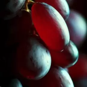 Гренаш