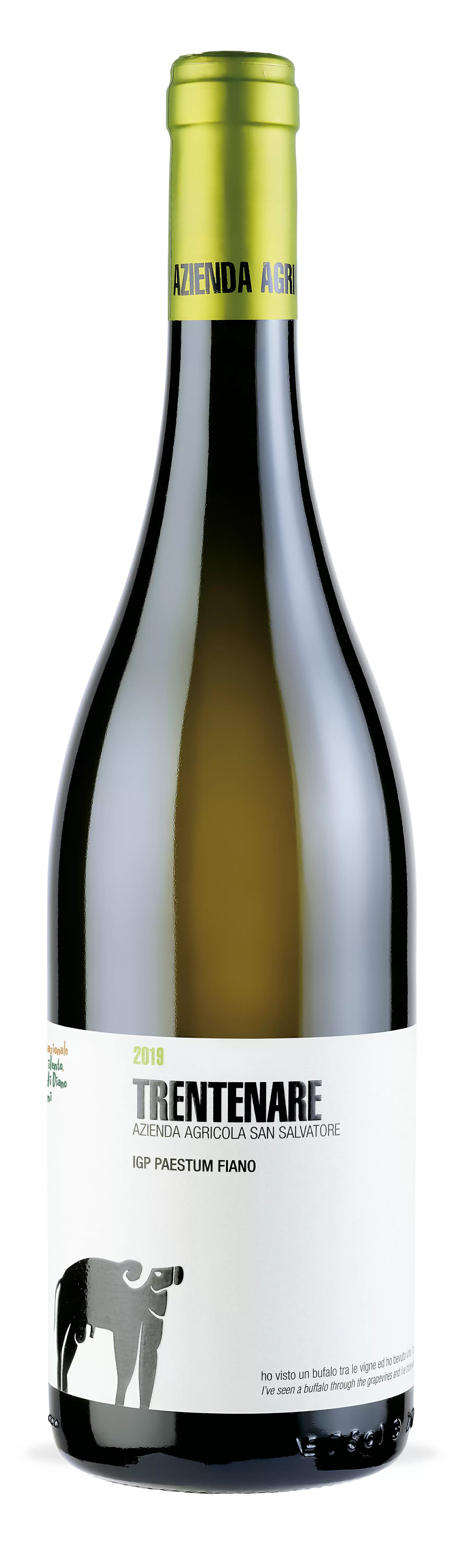 Вино Paestum IGP San Salvatore Trentenare Fiano 2017 г. 0.75 л