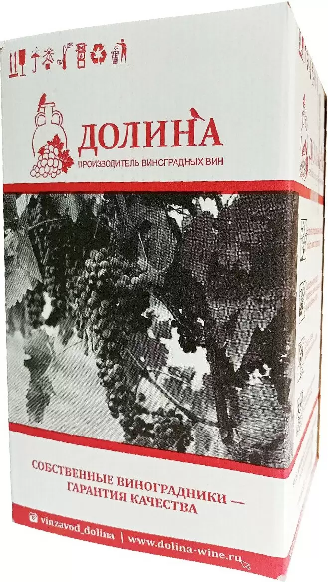 Вино Долина Каберне 10 л