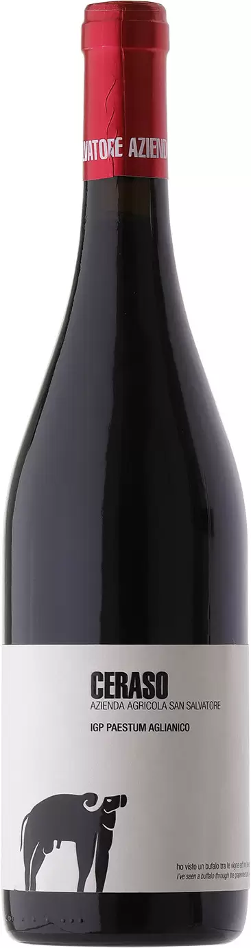 Вино Paestum IGP San Salvatore Ceraso Aglianico 2019 г. 0.75 л