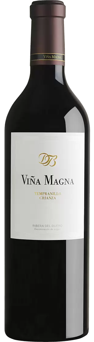 Вино Ribera del Duero DO Dominio Basconcillos Vina Magna 2017 г. 0.75 л