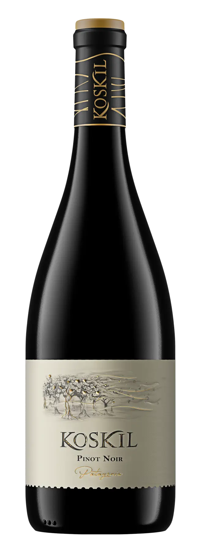 Вино Koskil Patagonia Pinot Noir 0.75 л