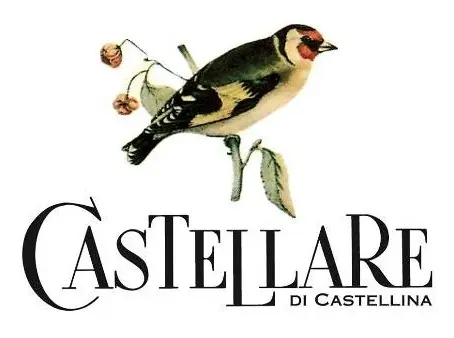 Castellare di Castellina