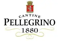 Carlo Pellegrino