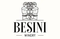 Besini