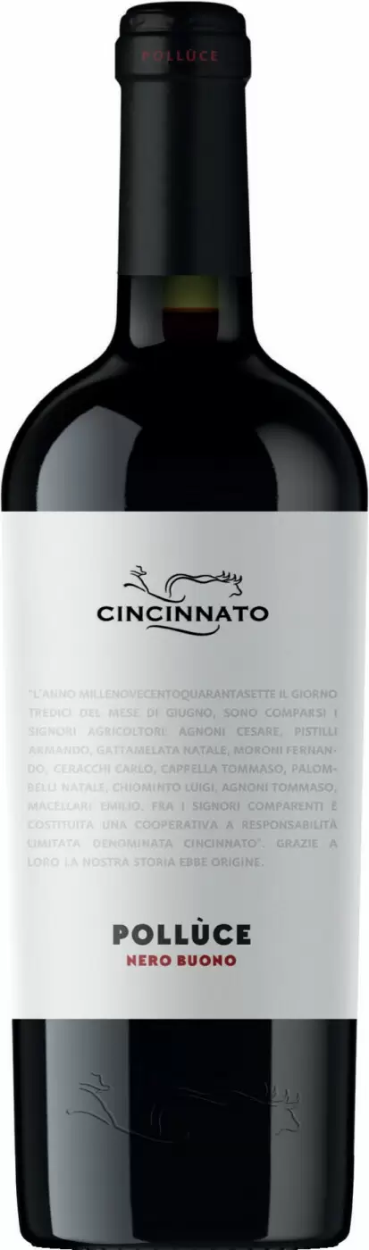 Вино Cincinnato Polluce Nero Buono Lazio 0.75 л