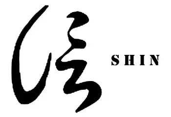 Shin