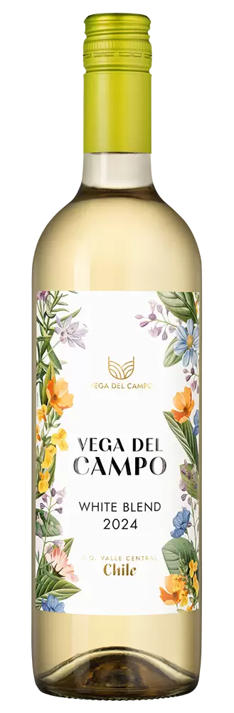 Вино Vega Del Campo White Blend 0.75 л