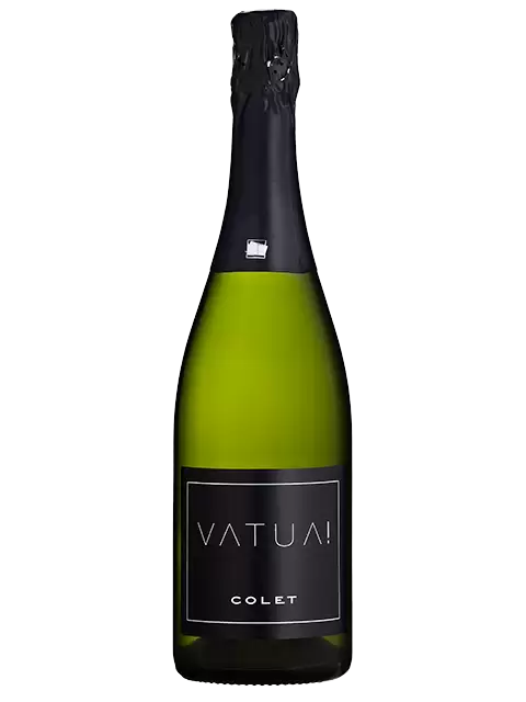 Classic Penedes DO Colet Vatua