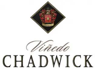 Vinedo Chadwick