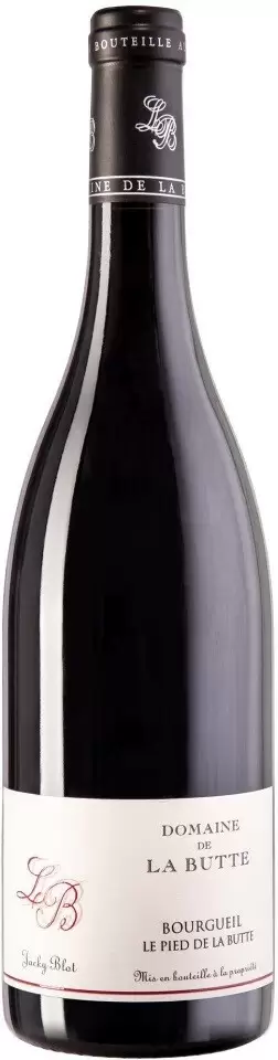 Вино Le Pied de la Butte Bourgueil AOC 0.75 л