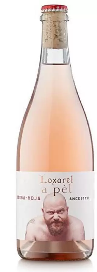 Loxarel A Pèl Barba-Roja Ancestral