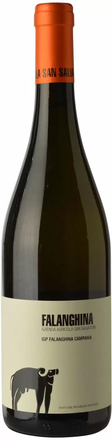 Вино Campania IGP San Salvatore Falanghina 2019 г. 0.75 л