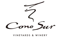 Cono Sur