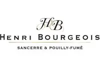 Henri Bourgeois