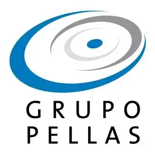 Grupo Pellas
