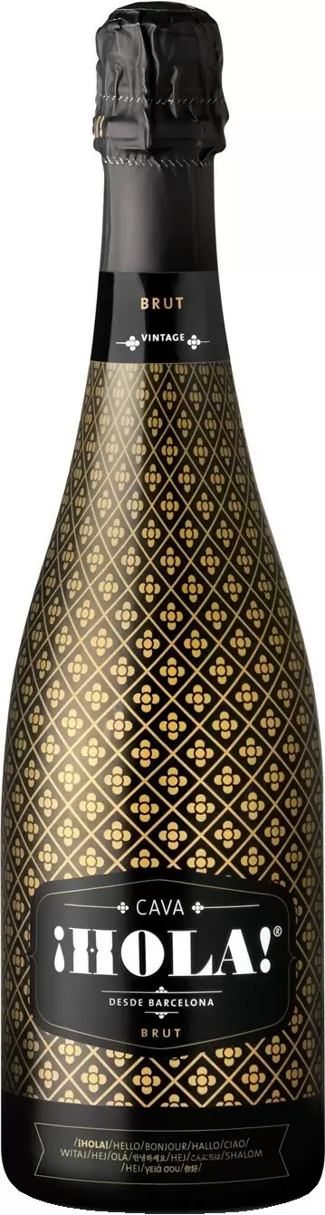 Игристое вино Hola Brut Cava DO 0.75 л