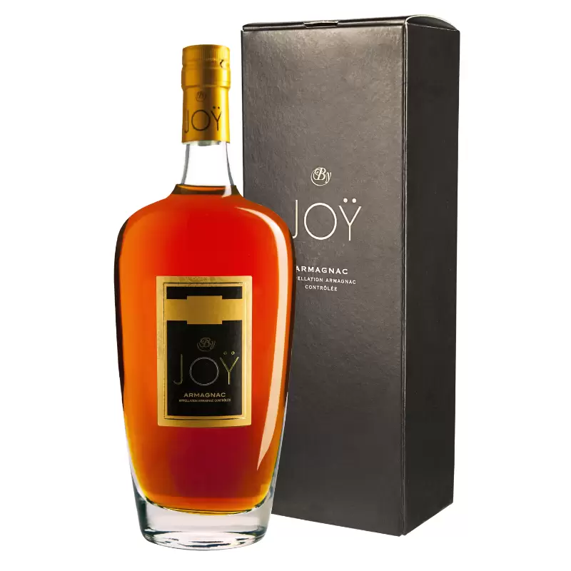Арманьяк Joy Vintage 1969 0.7 л Gift Box