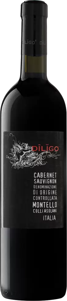 Вино Anna Spinato Diligo Cabernet Sauvignon 0.75 л