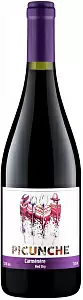 Вино Picunche Carmenere Central Valley DO 0.75 л