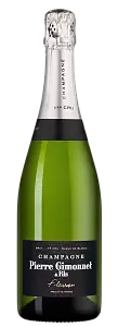 Белое Брют Шампанское Fleuron Blanc de Blancs Premier Cru Brut Pierre Gimonnet & Fils 2018 г. 0.75 л