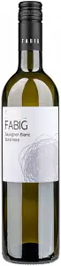 Вино Soul Fabig Sauvignon Blanc Stara Hora 0.75 л