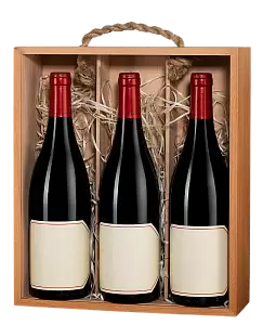 Пенал 3 Бутылки Бургонь Бук 34х30х10 см