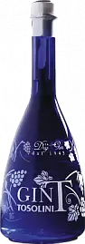 Джин T Tosolini Gin 0.7 л