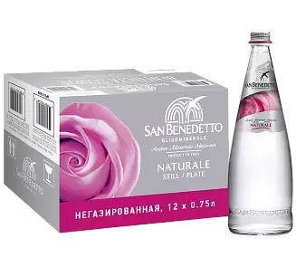 Вода негазированная San Benedetto Glass 0.75 л 12 шт.