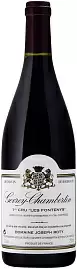 Вино Domaine Joseph Roty Gevrey-Chambertin 1-er Cru Les Fontenys 2016 г. 1.5 л