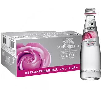 Вода негазированная San Benedetto Glass 0.25 л 24 шт.