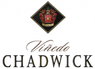 Vinedo Chadwick