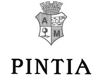 Bodegas Pintia