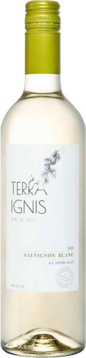 Вино Terra Ignis Sauvignon Blanc Central Valley 0.75 л