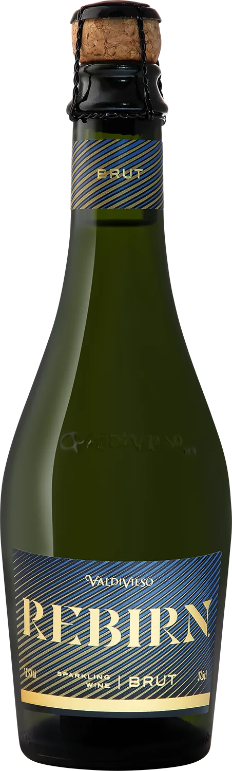 Rebirn Brut Vina Valdivieso