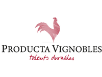 Producta Vignobles