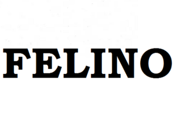Felino