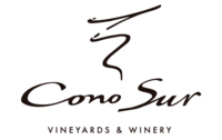 Cono Sur