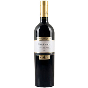 Красное Сухое Вино Mastri Vernacoli Pinot Nero 2020 г. 0.75 л