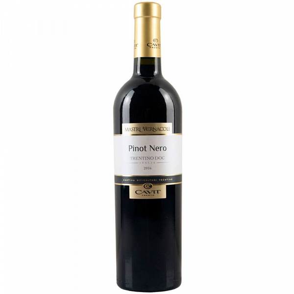 Вино Mastri Vernacoli Pinot Nero 2020 г. 0.75 л