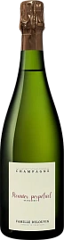 Шампанское Meunier Perpetuel Extra Brut Champagne Famille Delouvin 0.75 л