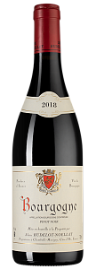 Красное Сухое Вино Domaine Hudelot-Noellat Bourgogne Pinot Noir 2018 г. 0.75 л