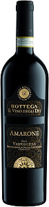 Красное Сухое Вино Bottega Amarone della Valpolicella DOCG 0.75 л