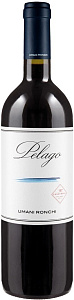Красное Сухое Вино Pelago 2019 г. 0.75 л
