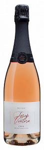 Розовое Брют Игристое вино Josep Ventosa Cava Brut Rose 0.75 л