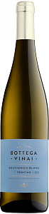 Белое Сухое Вино Bottega Vinai Sauvignon Blanc 2019 г. 0.75 л