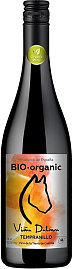 Вино Vina Dalma Bio Organic Tempranillo Tierra de Castilla 0.75 л