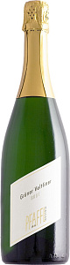Белое Брют Игристое вино Weingut R&A Pfaffl Gruner Veltliner Brut 0.75 л