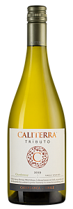Белое Сухое Вино Chardonnay Tributo Caliterra 0.75 л