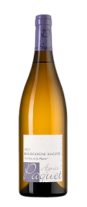 Белое Сухое Вино Bourgogne Aligote Le Clou et la Plume Domaine Agnes Paquet 2021 г. 0.75 л